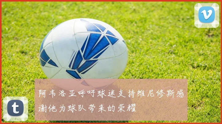 阿韦洛亚呼吁球迷支持维尼修斯感谢他为球队带来的荣耀